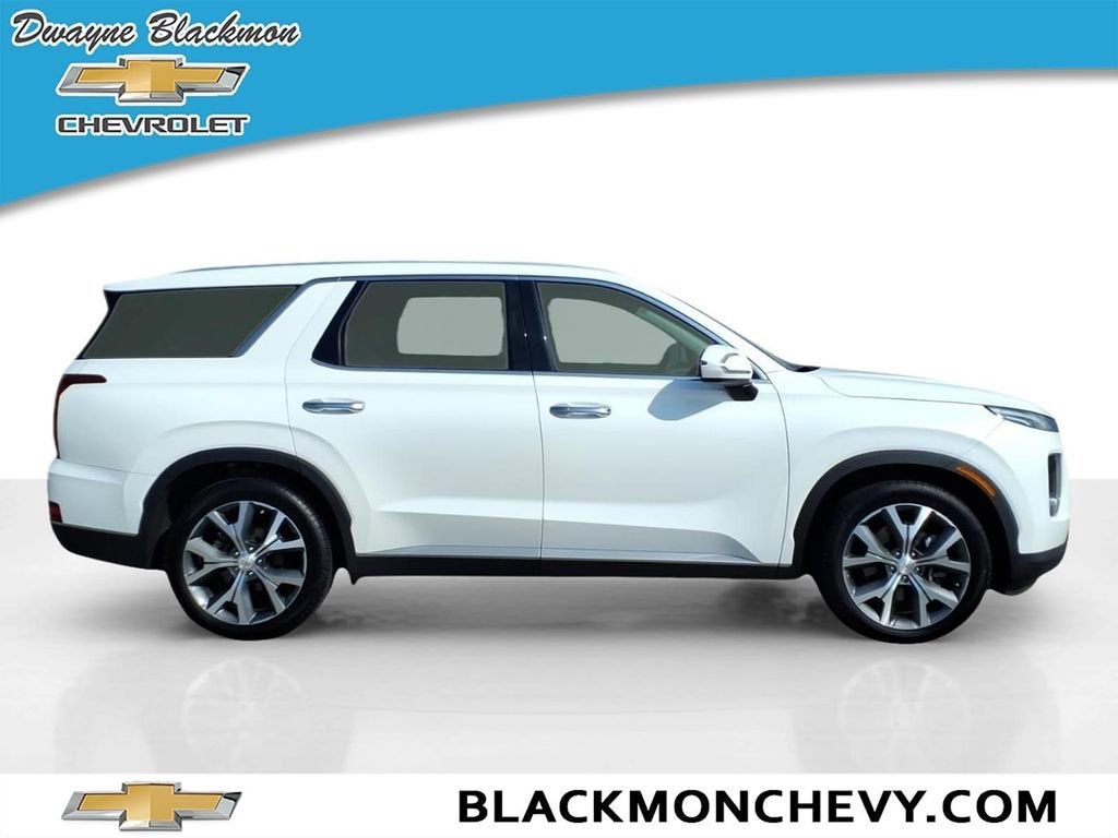 2022 Hyundai Palisade — side profile view